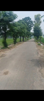 Property for sale in Nangal Purdil, Jalandhar
