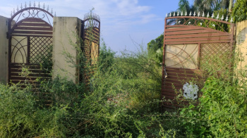 93 Marla Residential Plot for Sale in Verka Milk Plant, Jalandhar