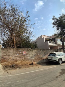16 Marla Residential Plot for Sale in Ranjit Enclave, Jalandhar