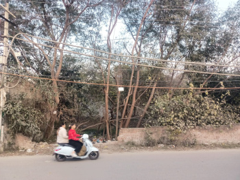 48 Marla Residential Plot for Sale in GTB Nagar, Jalandhar