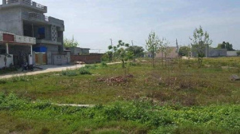 Residential Plot for Sale in New Raja Garden, Jalandhar (8.69 Marla)