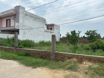 Residential Plot for Sale in Gill Colony, Jalandhar (21.7 Marla)