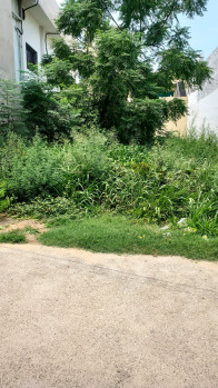 Residential Plot for Sale in Friends Colony, Jalandhar (7.68 Marla)