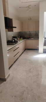 3 BHK Independent House for Sale in 66 Feet Road, Jalandhar