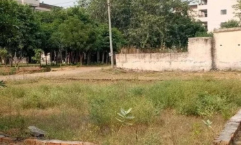 Residential Plot for Sale in Urban Estate Phase 2, Jalandhar (8 Marla)