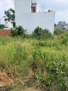 Residential Plot for Sale in 66 Feet Road, Jalandhar