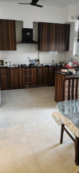 Flats & Apartments for Sale in 66 Feet Road, Jalandhar (1880 Sq.ft.)