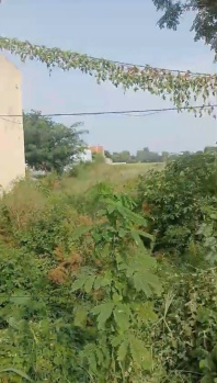 Commercial Lands /Inst. Land for Sale in 66 Feet Road, Jalandhar