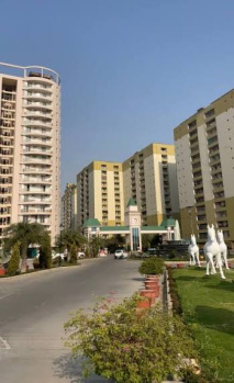 Flats & Apartments for Sale in 66 Feet Road, Jalandhar (820 Sq.ft.)