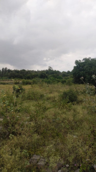 4.20 Acre Industrial Land / Plot for Sale in Nehru Nagar Extension, Hosur