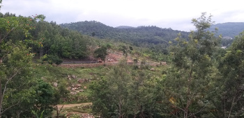 Residential Plot for Sale in Yercaud, Salem (11000 Sq.ft.)