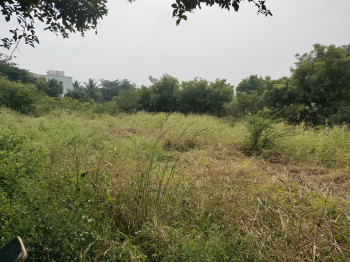 Sale of Residential Land (Excellent Return on Investment)