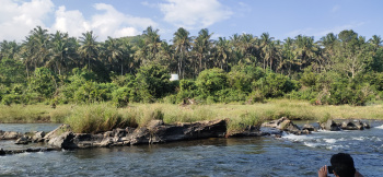 Property for sale in Anaikatti, Coimbatore