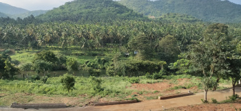 Property for sale in Anaikatti, Coimbatore