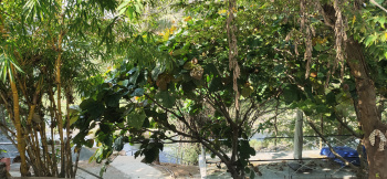 Property for sale in Anaikatti, Coimbatore