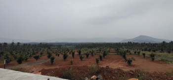 Value Added Farm Cum DTCP Plots (Best Advantage)