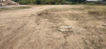 12.5 Cents Residential Land is available For Sale in Kalapatti