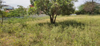 Property for sale in Karadivavi, Coimbatore