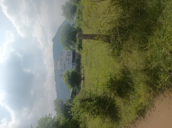 Sale Agri Farm Land in coimbatore