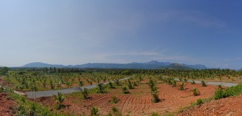 100 Housing plots for sale in saravanapatti coimbatore
