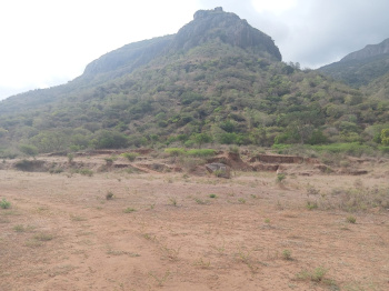 Sale of 1.5 Acre Farm & Agri Land near Karuna University
