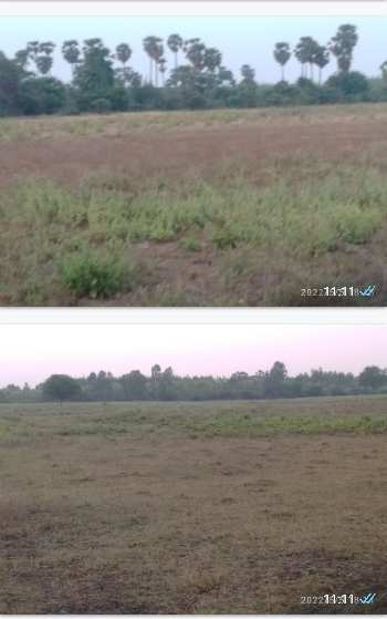 Property for sale in Naidupeta, Nellore