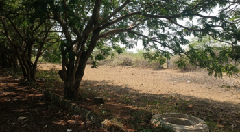 Property for sale in Mevalurkuppam, Kanchipuram