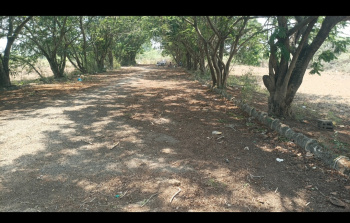 Property for sale in Mevalurkuppam, Kanchipuram