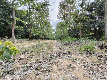 Farm land for sale near Sriperumbudur