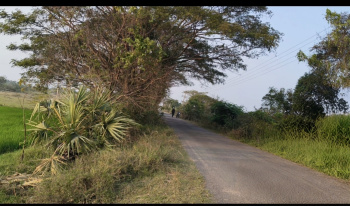 20000 sqft Commercial On Bus Route property