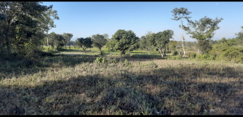 10 Bigha Agricultural/Farm Land for Sale in Manjokhi, Rishikesh
