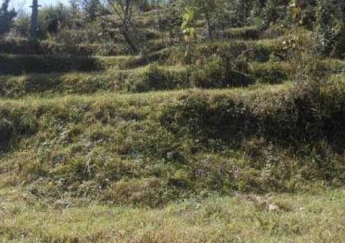 4840 Sq. Yards Agricultural/Farm Land for Sale in Manjokhi, Rishikesh