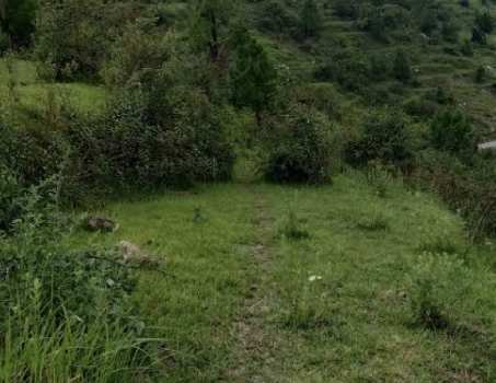 9680 Sq. Yards Agricultural/Farm Land for Sale in Manjokhi, Rishikesh
