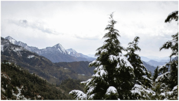 Agricultural/Farm Land for Sale in Dhanaulti, Tehri Garhwal (1200 Sq. Yards)