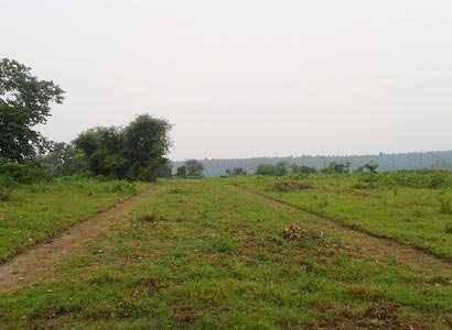 Residential Land / Plot for Sale in Chakrata Road, Dehradun (100 Sq. Yards)