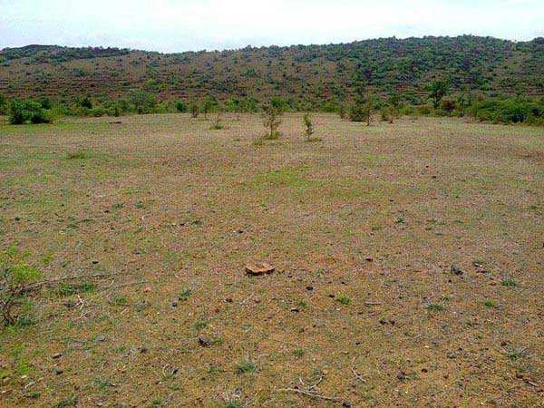 2000 Sq. Feet Plot for Sale in Good Location