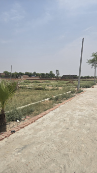 Property for sale in Jhajhar, Gautam Buddha Nagar