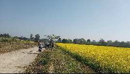 48 Bigha Agricultural/Farm Land for Sale in Vikas Nagar, Dehradun