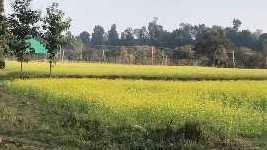 48 Bigha Agricultural/Farm Land for Sale in Vikas Nagar, Dehradun