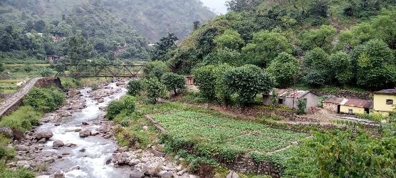 Dhara Valley Greens