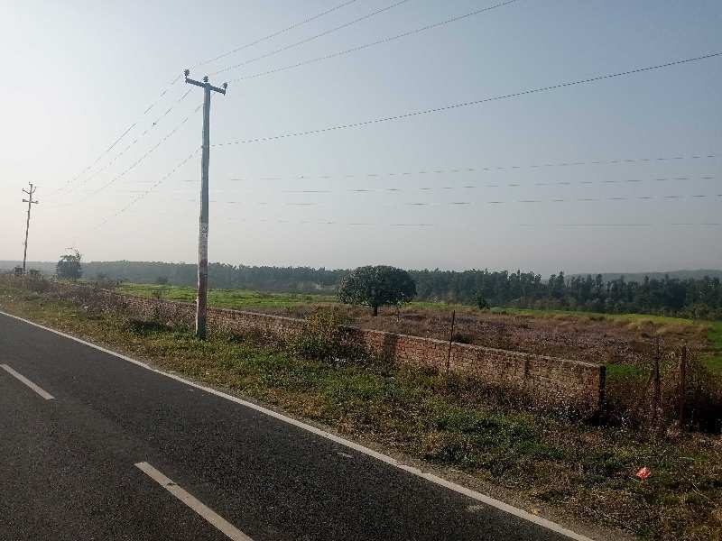 45 Bigha Industrial Land / Plot for Sale in Selaqui, Dehradun