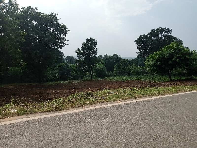 Commercial Plot on Thano Airport Road