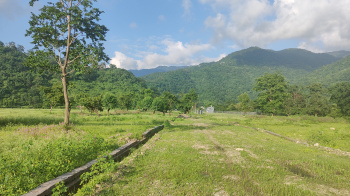 200 Sq. Yards Residential Plot for Sale in Thano, Dehradun