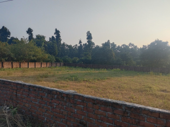 Farm House for Sale in Jagatpur, Dehradun (1800 Sq. Yards)