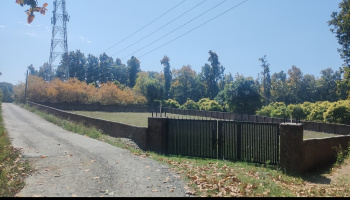 1650 Sq. Yards Residential Plot for Sale in Jagatpur, Dehradun