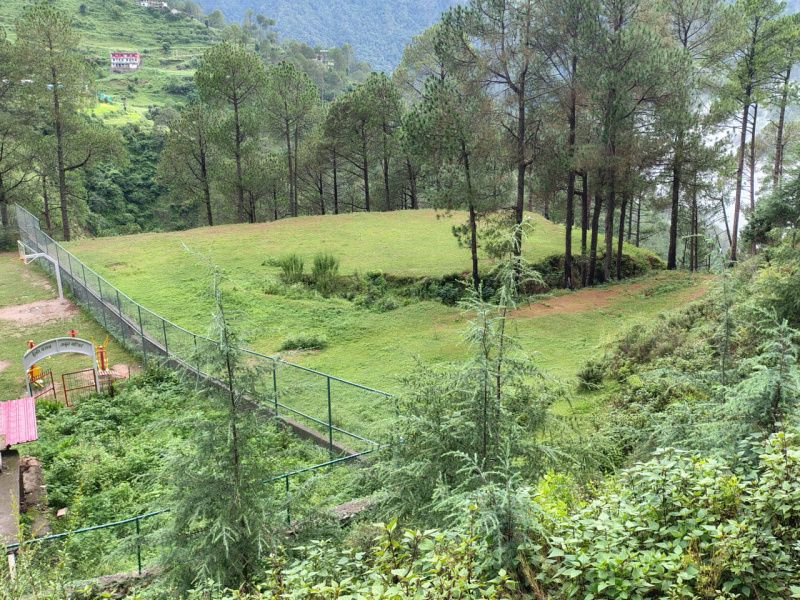 Residential Plot for Sale in Sodasaroli, Dehradun (1290 Sq. Yards)