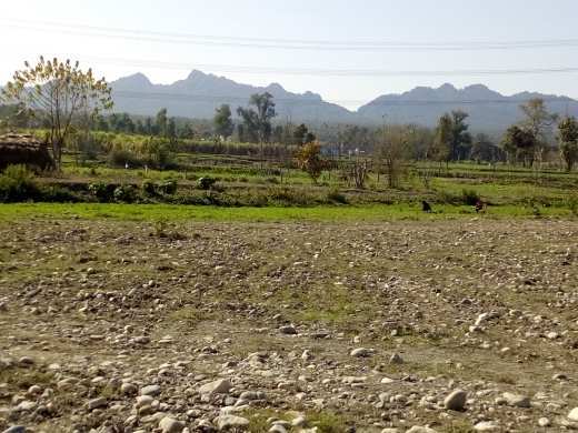 2700 Sq. Yards Agricultural/Farm Land for Sale in Uttarakhand (3 Bigha)