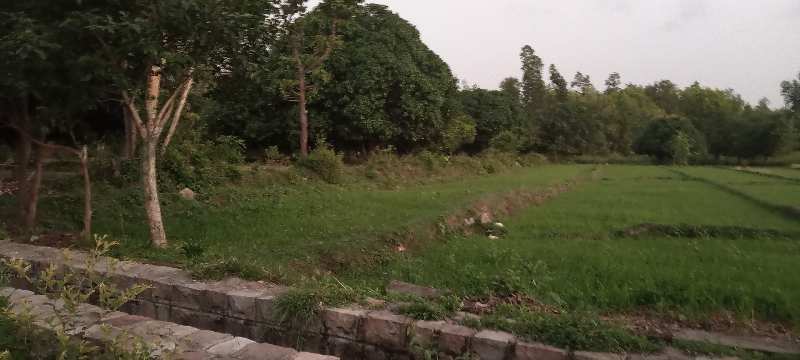 2700 Sq. Yards Agricultural/Farm Land for Sale in Uttarakhand (3 Bigha)