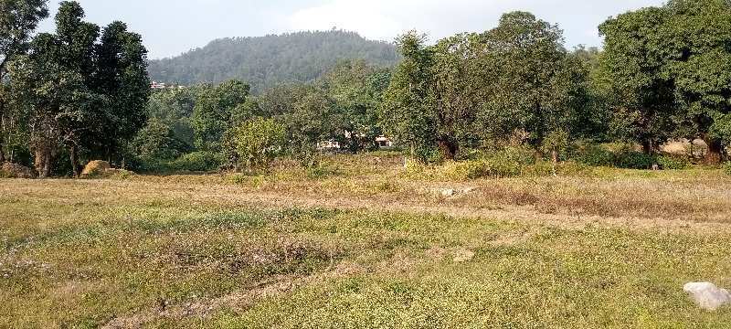650 Sq.ft. Agricultural/Farm Land for Sale in Sahastradhara Road, Dehradun (300 Sq. Yards)