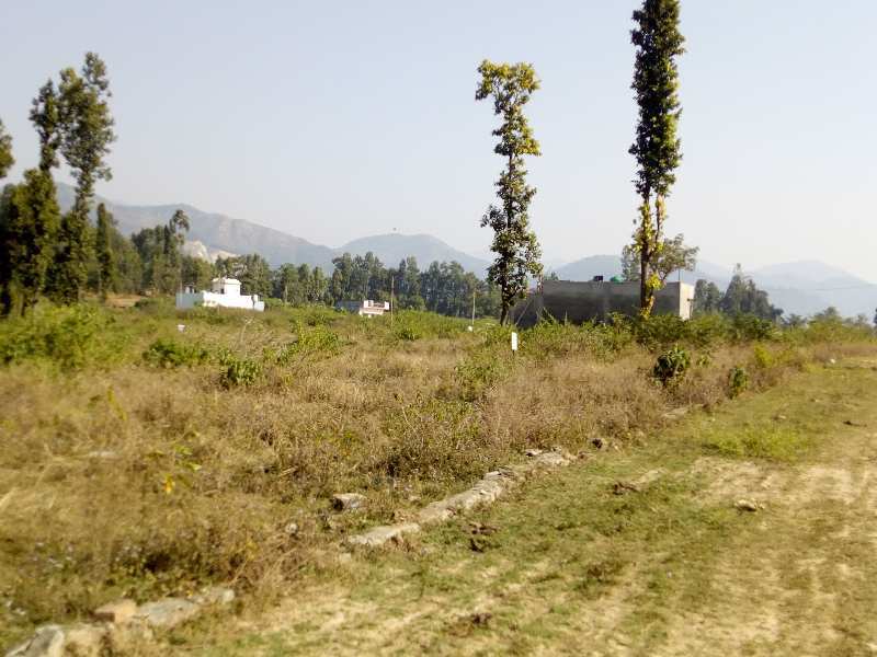 Raipur Hill Greens